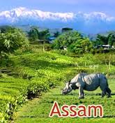 Assam GK & Current Affairs